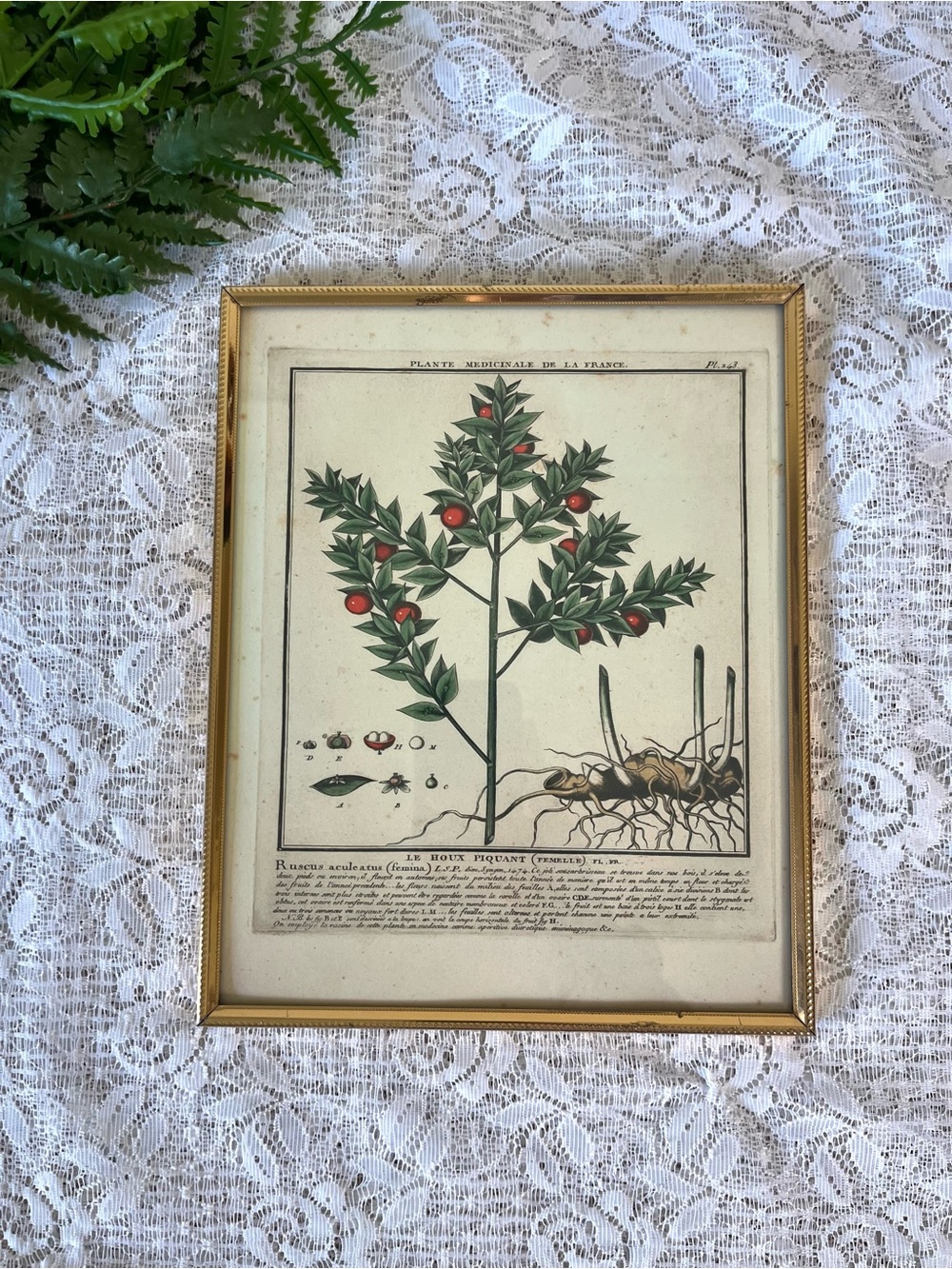 Vintage Gold Metal Framed French Butchers Broom Shrub Decor 8x10